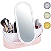 Travel Makeup Bag Organizer Travel Makeup Case Organizer with LED Light Mirror, Makeup Organizer Bag Makeup Travel Bag Makeup Train Case Portable Travel Cosmetic Bag Jewelry Organizer